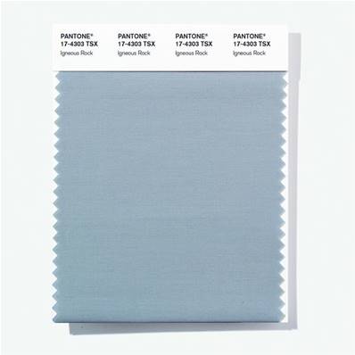17-4303 TSX Igneous Rock - Polyester Swatch Card