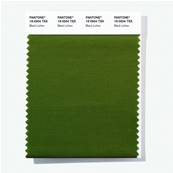 19-0504 TSX Black Lichen - Polyester Swatch Card