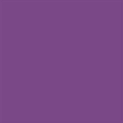 19-3438 TCX Bright Violet
