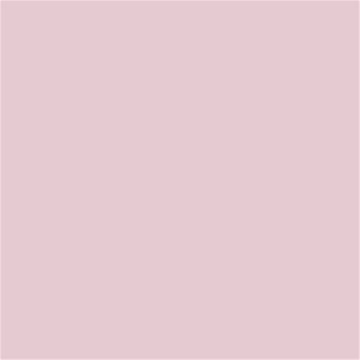 13-2803 TCX Pale Lilac