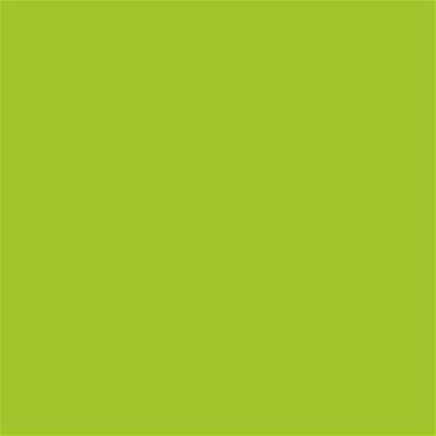 14-0452 TCX Lime Green