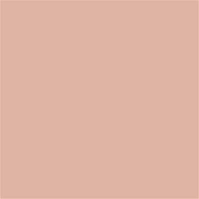 14-1313 TCX Rose Cloud