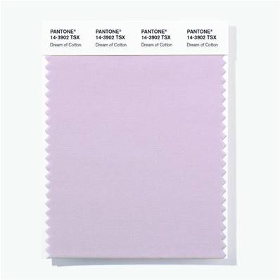 14-3902 TSX Dream of Cotton - Polyester Swatch Card