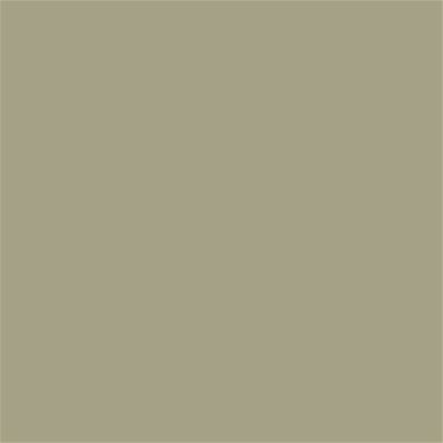 16-0613 TCX Elm
