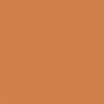 16-1443 TCX Apricot Buff
