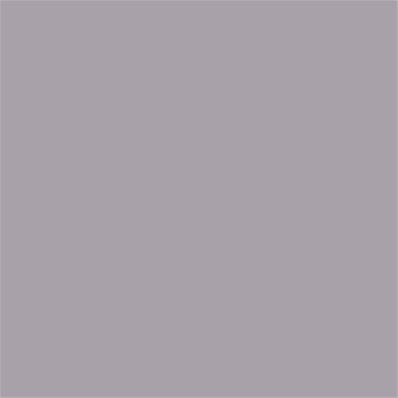 16-3803 TCX Gull Gray