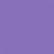 16-3828 TN Purple Hebe