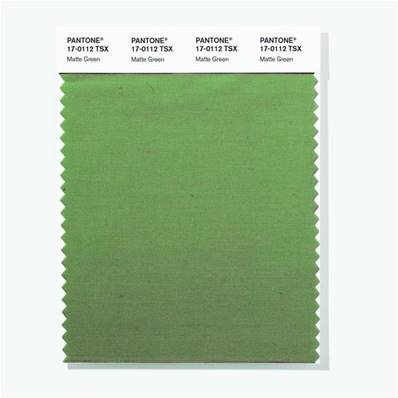 17-0112 TSX Matte Green - Polyester Swatch Card