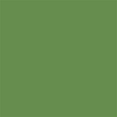 17-0230 TCX Forest Green