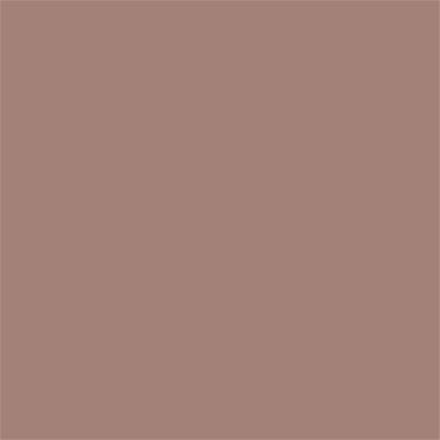 17-1311 TCX Desert Taupe