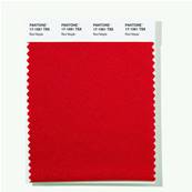 17-1561 TSX Red Maple - Polyester Swatch Card