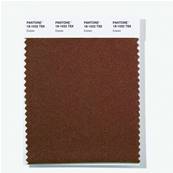 18-1032 TSX Crimini - Polyester Swatch Card