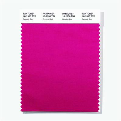 18-2350 TSX Boudoir Red - Polyester Swatch Card