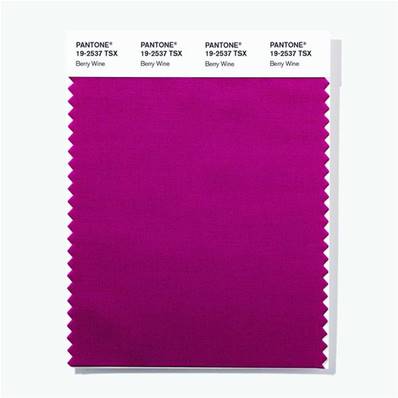 19-2537 TSX Berry Wine - Polyester Swatch Card